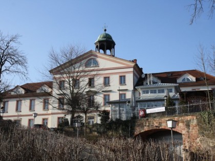 照片: Luisenhof